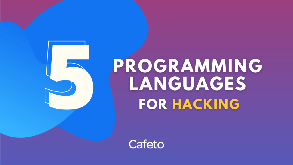5 Programming languages for hacking